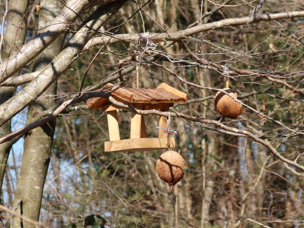 Vogelhäuschen