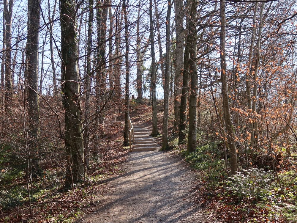 Waldweg