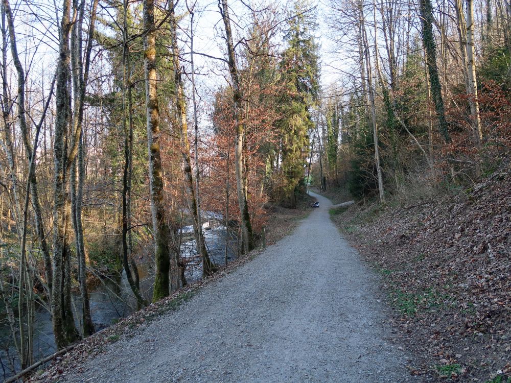 Weg an der Lützelmurg