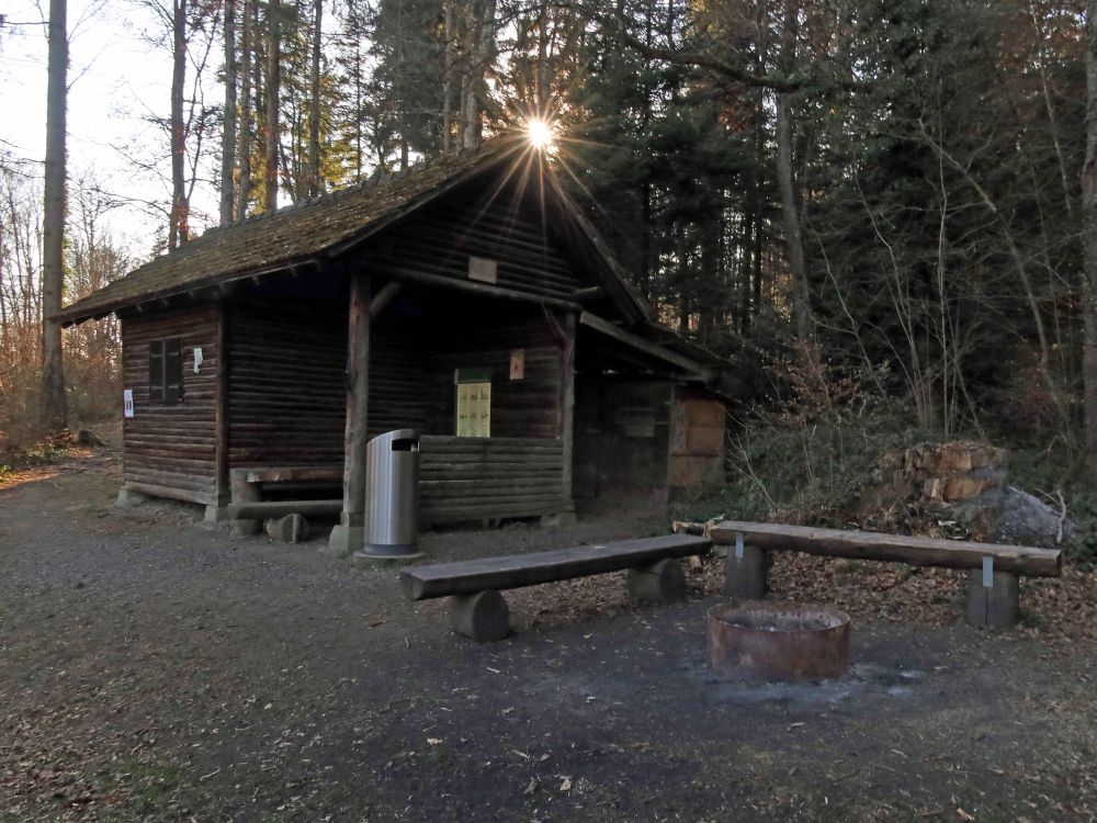 Waldhütte im Gegenlicht