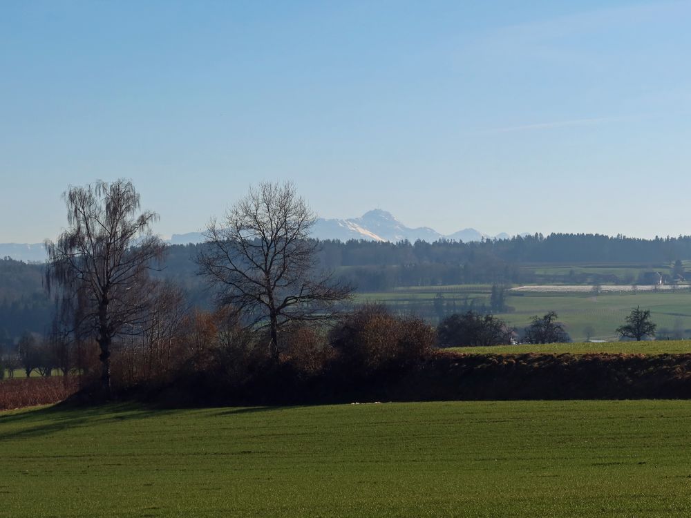 Blick Richtung Säntis