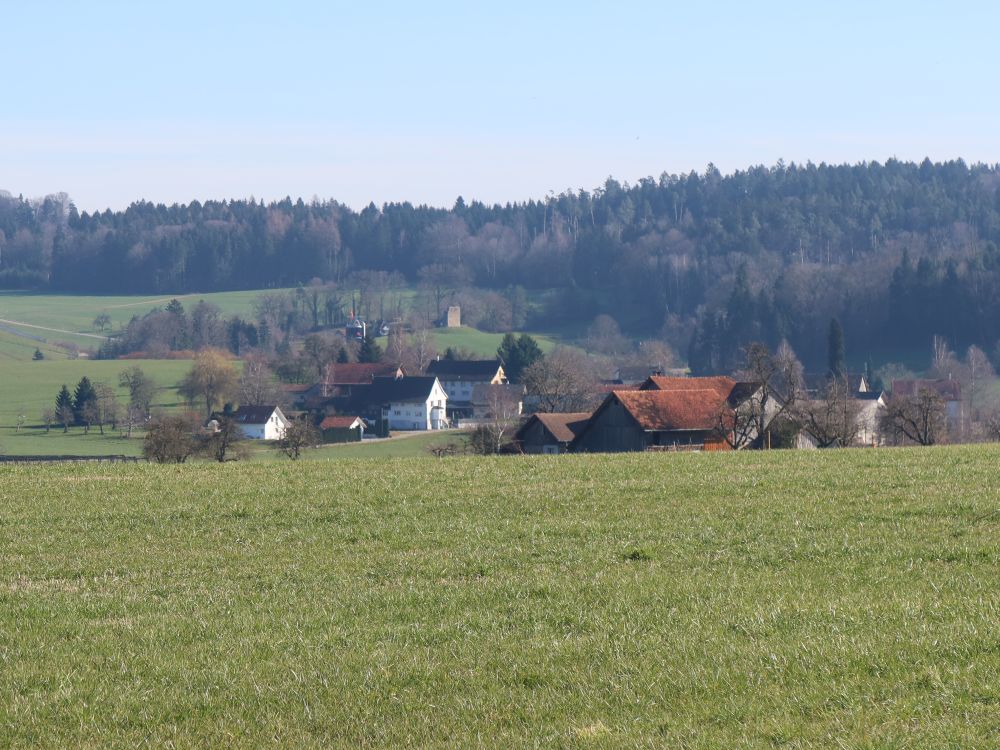 Metzgersbuhwil und Ruine Anwil