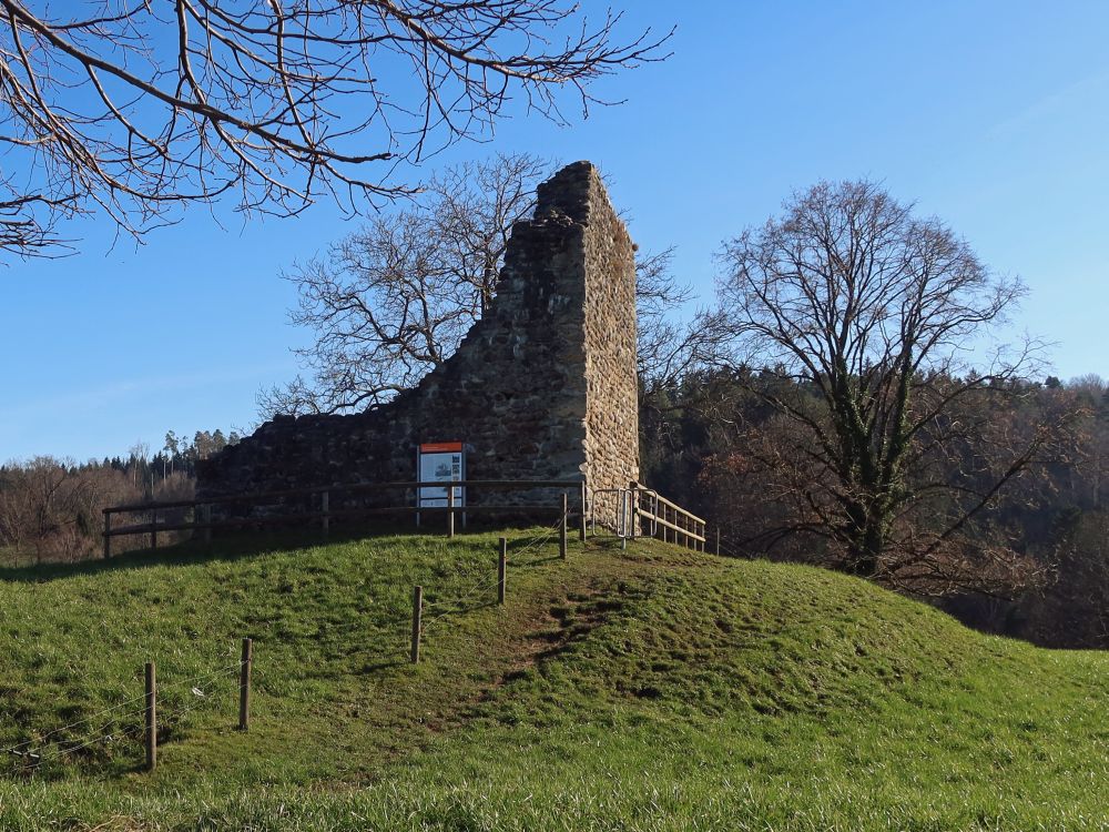 Ruine Anwil