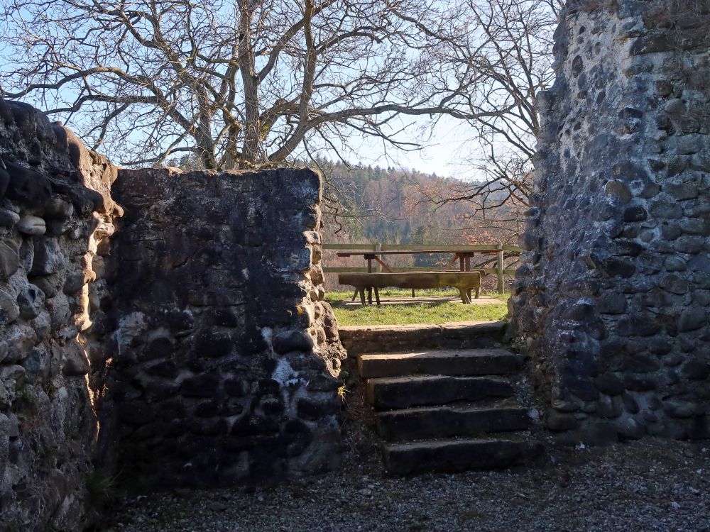 Sitzbank auf Ruine Anwil