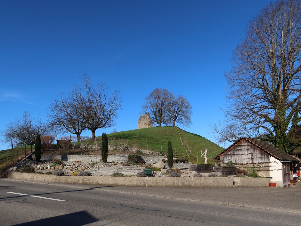 Ruine Anwil