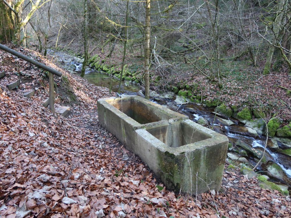 Brunnen am Huebbach