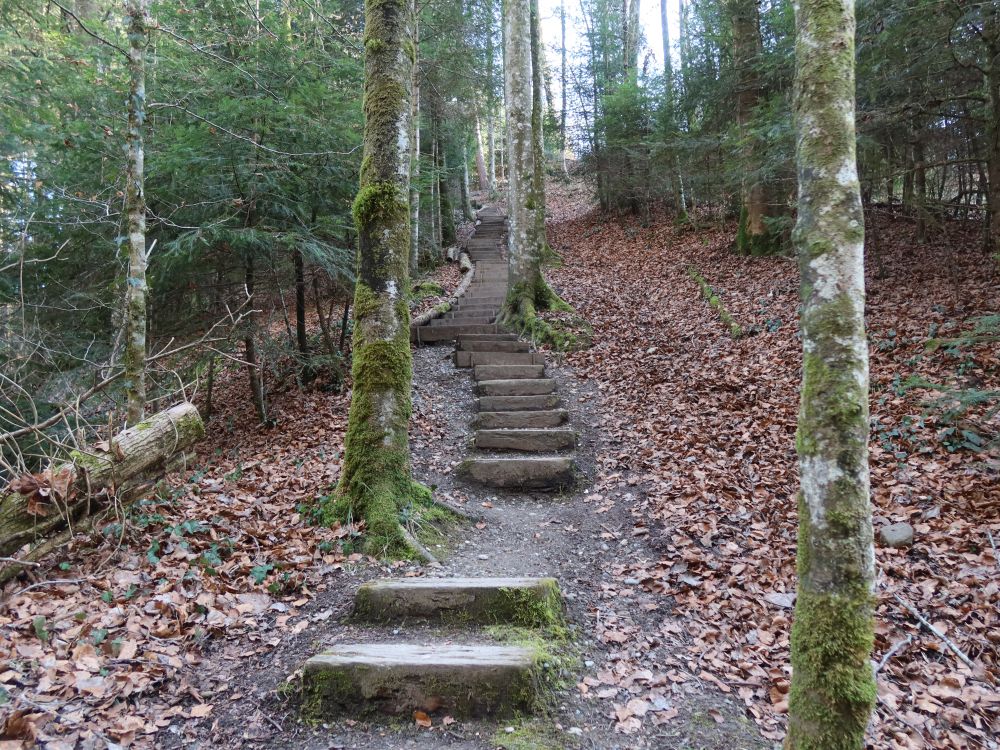 Treppe am Huebbach