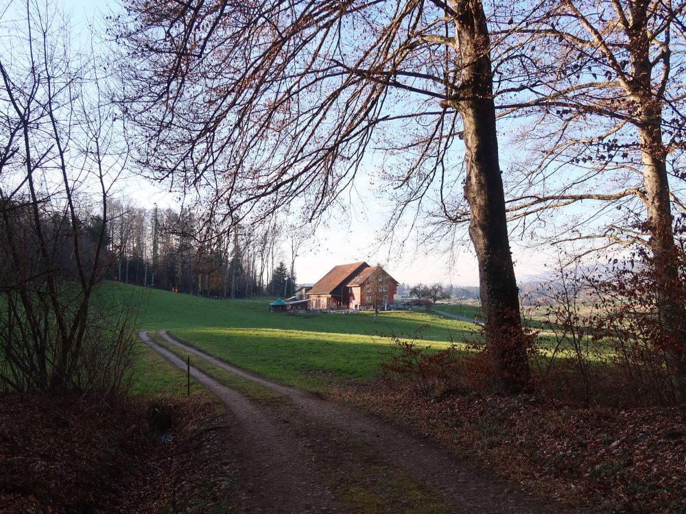 Bauernhof Heiligbrunnen