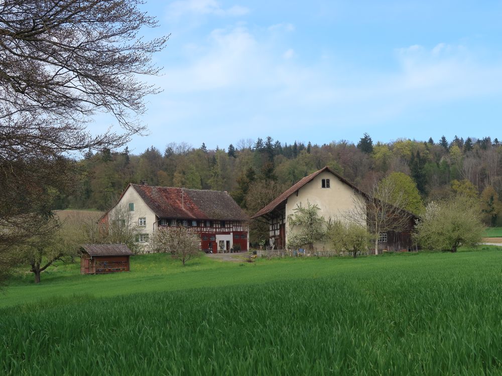 Ziegelhütte