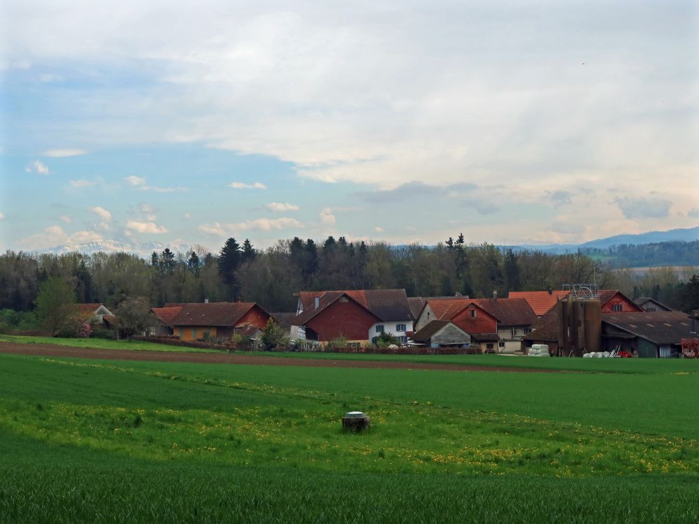 Burghof und Alpen