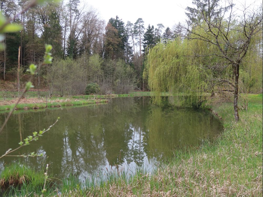 Privatweiher