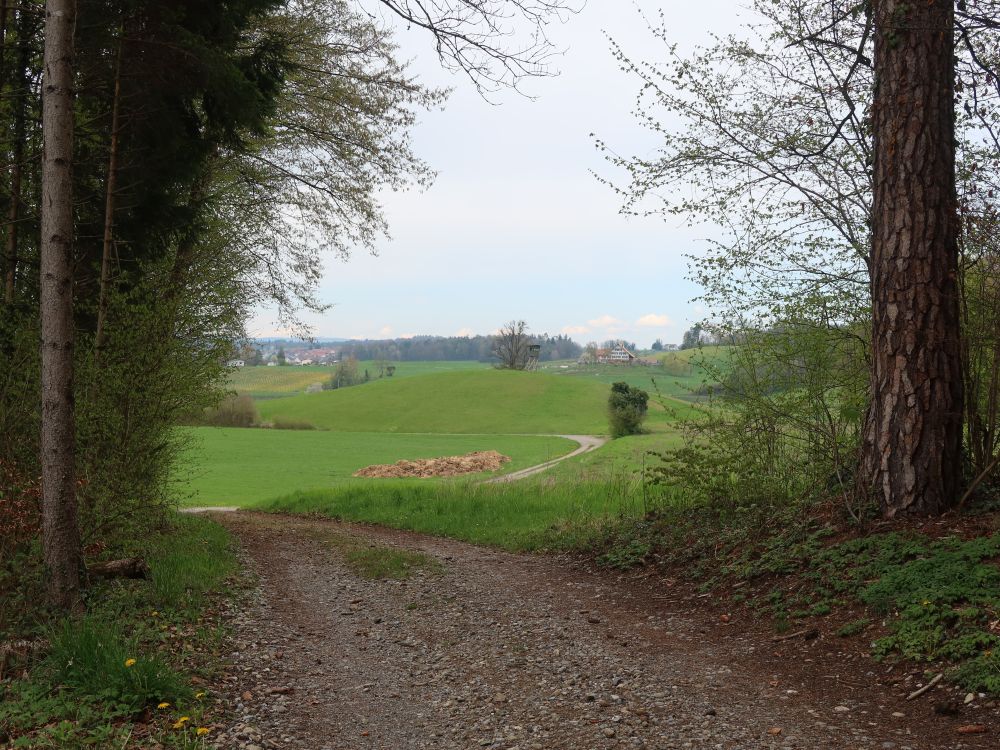 Blick Richtung Usserdorf und Rebhof