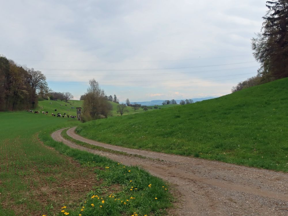 Wirtschaftsweg