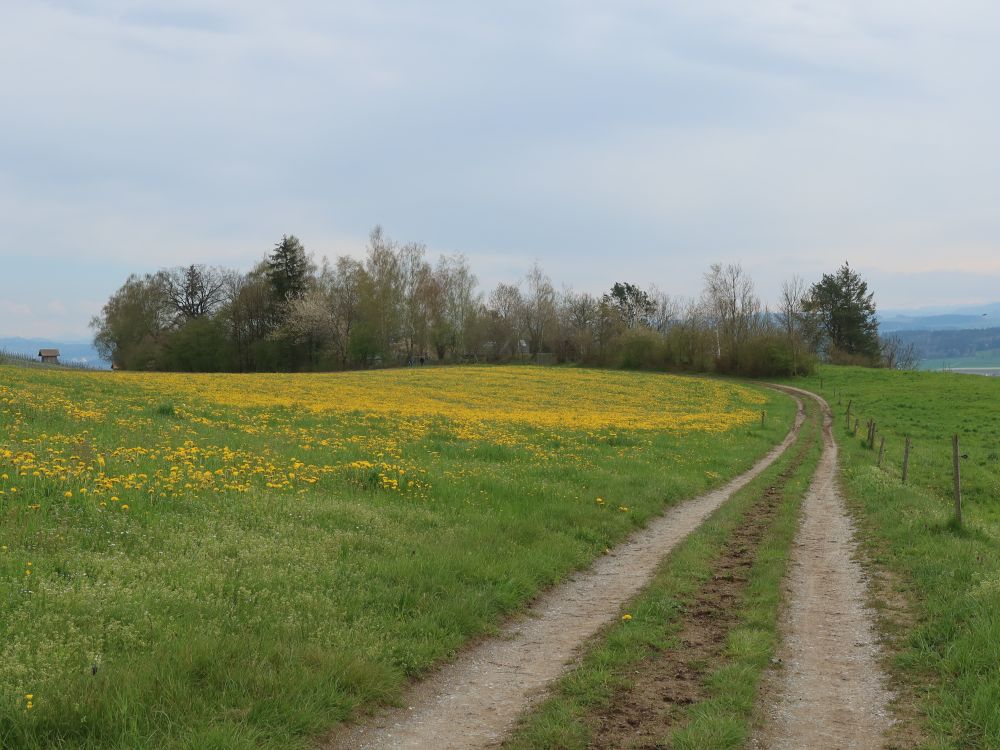 Wirtschaftsweg