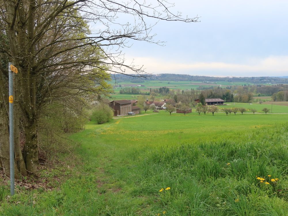 Wiesenpfad über Fahrhof