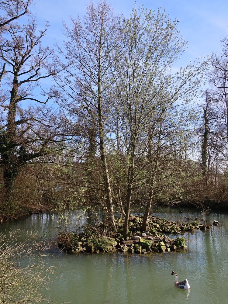 Inselchen im Stadtweiher