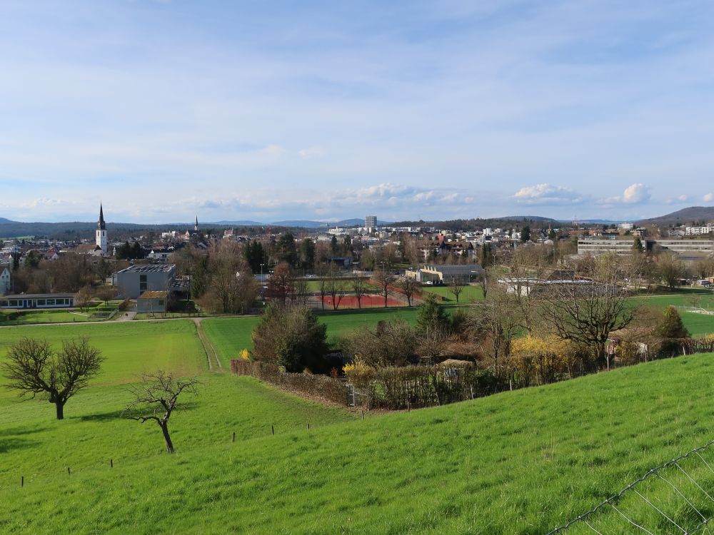 Blick auf Bülach