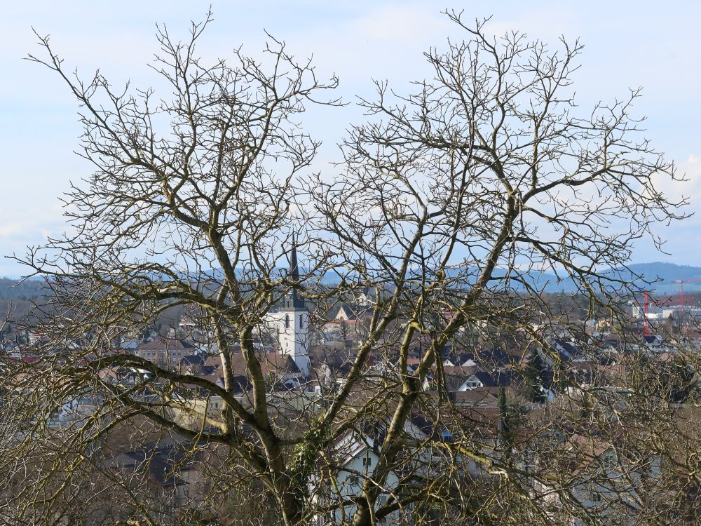 Kirchturm zwischen Zweigen
