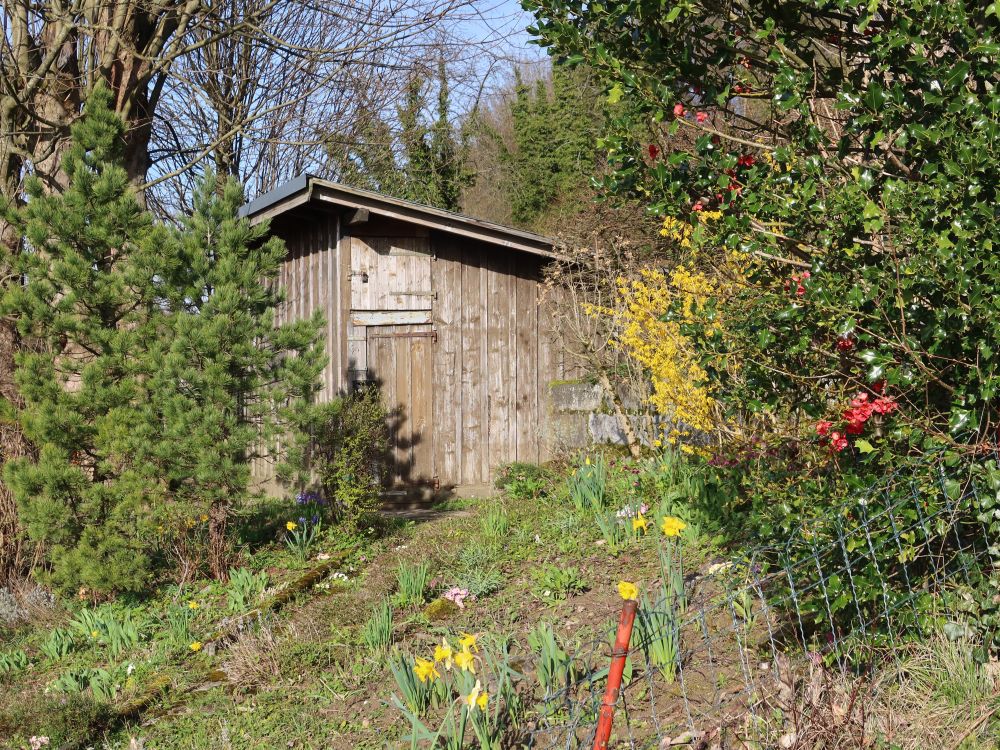 Hütte mit Garten