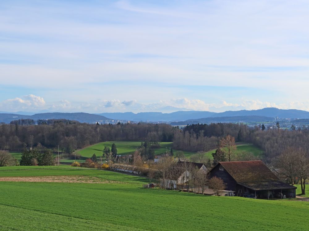 Rigi im Dunst und Uetliberg