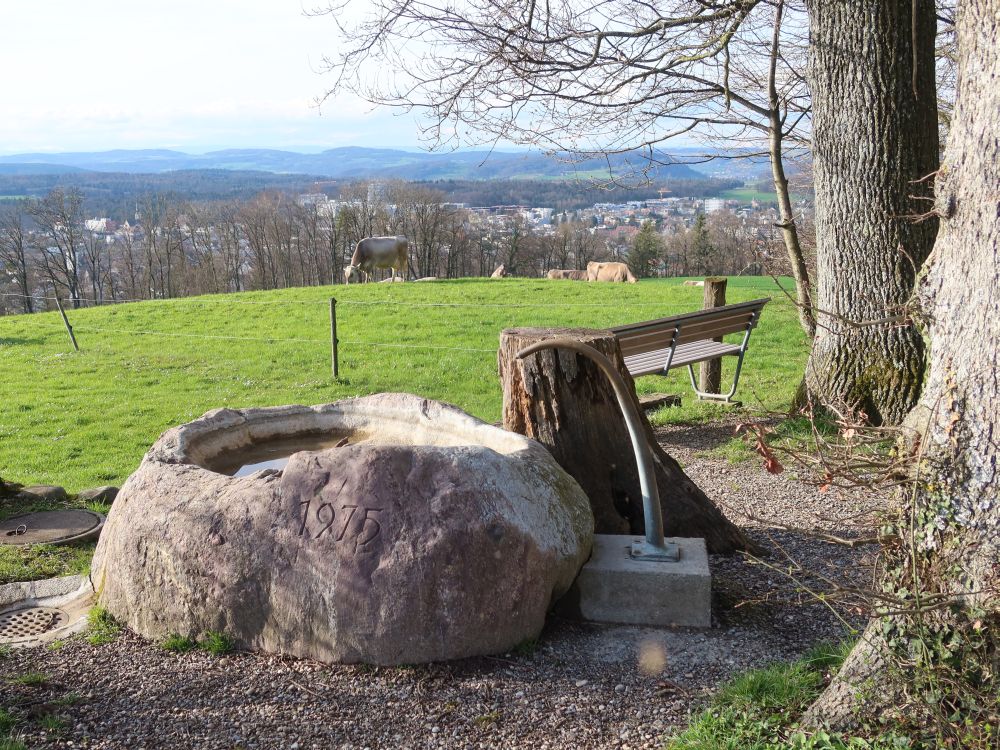 Brunnen am Nicola-Spirig Grillplatz