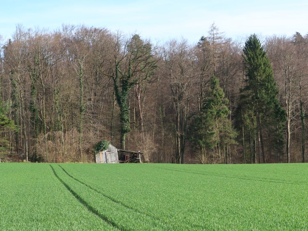 schräge Hütte