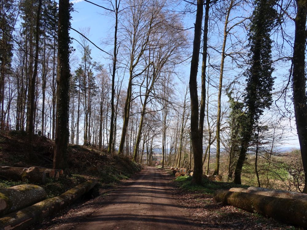 Ziegelhaldenweg