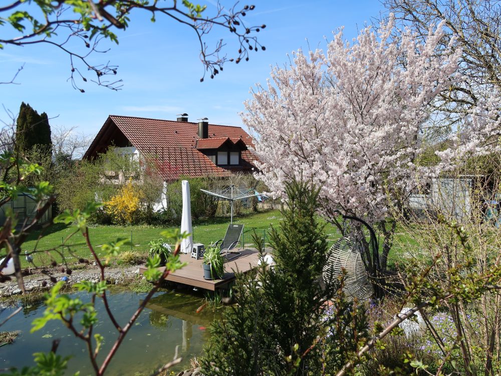 Haus mit Teich
