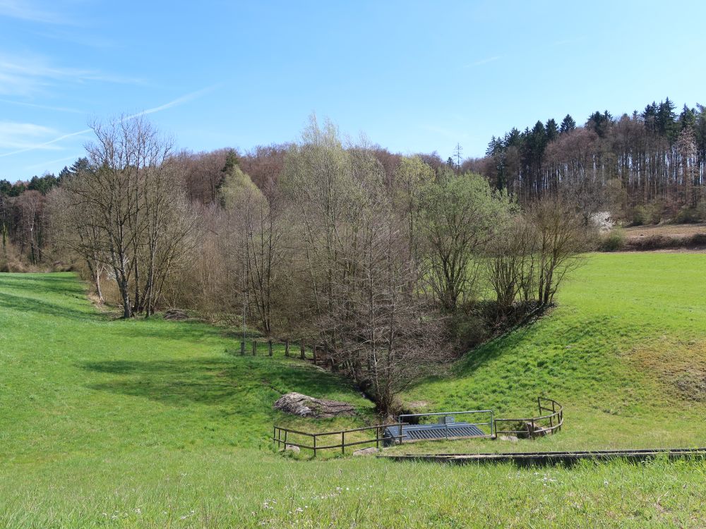 Mühlbach