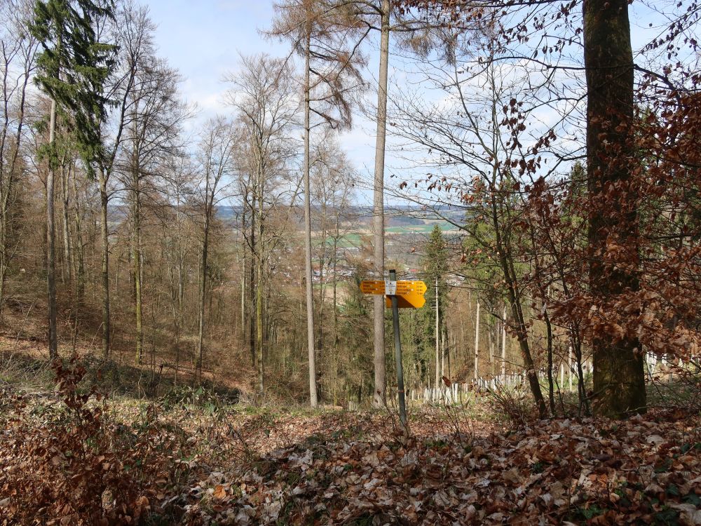 Wanderwegweiser