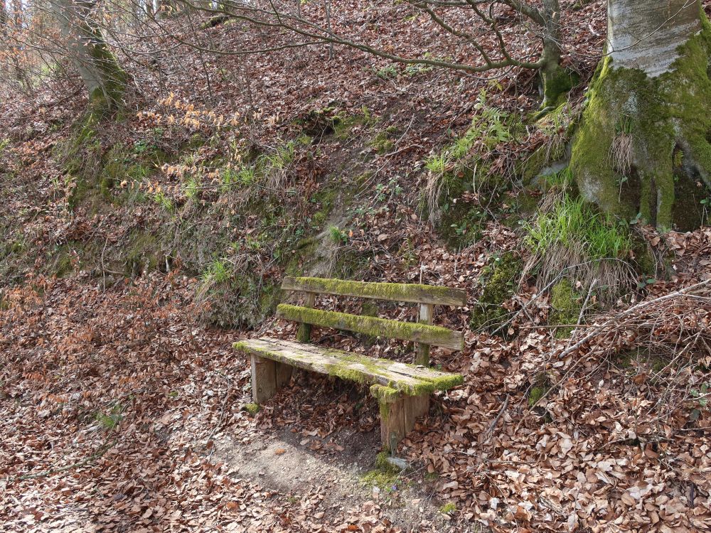 Sitzbank mit Moos