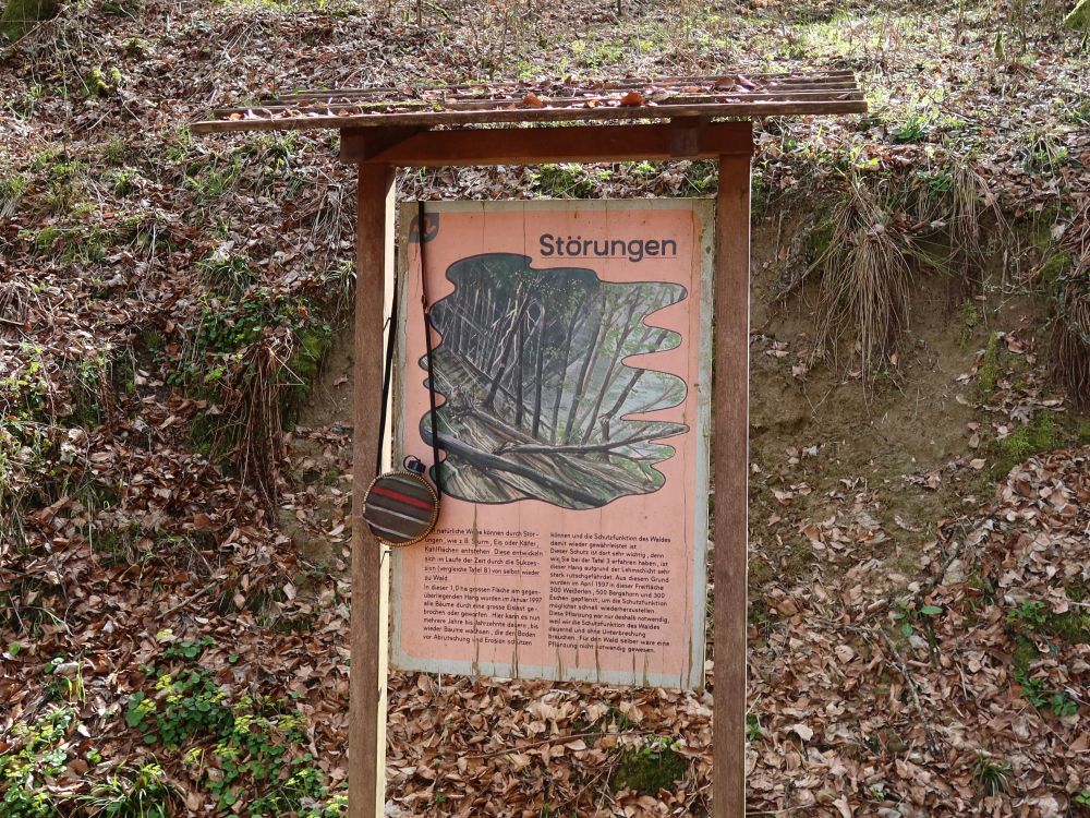 Infotafel