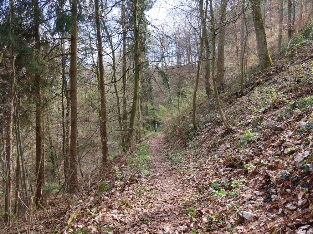 Höhenweg