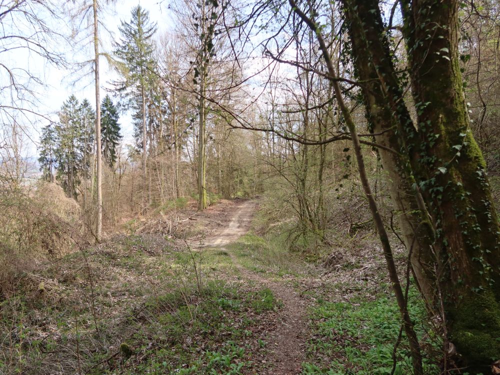 Höhenweg
