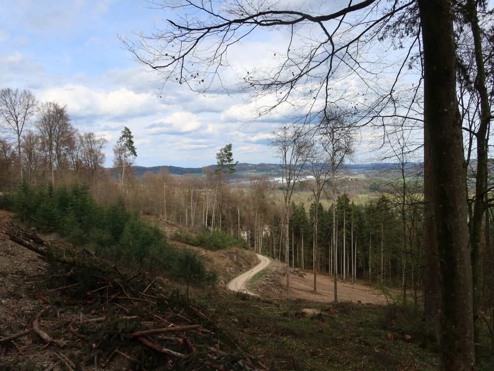 Hüttenweg
