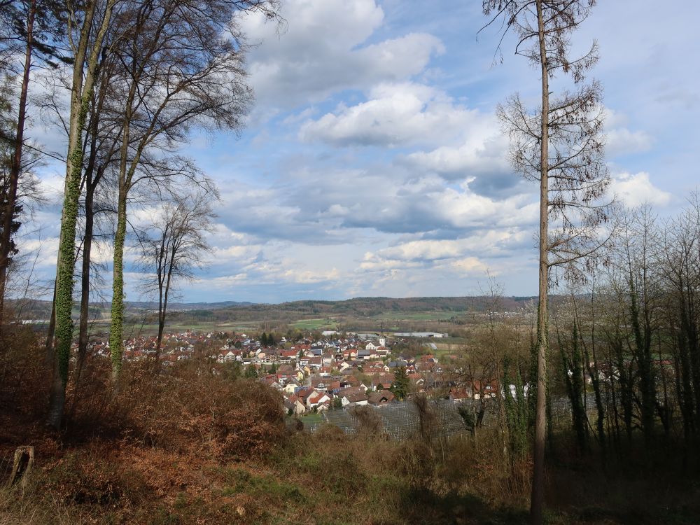 Blick auf Wahlwies