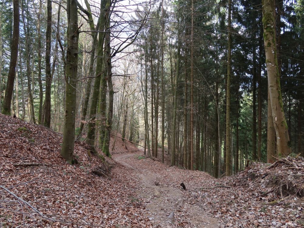 steiler Hohlweg