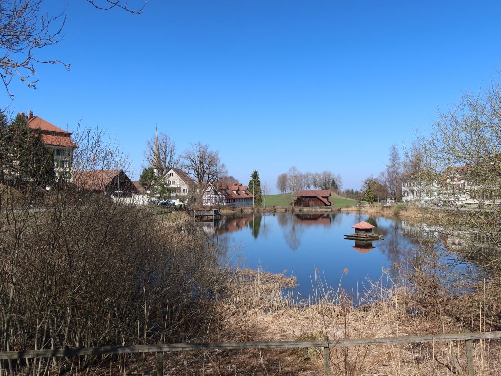 Magdenauer Weiher