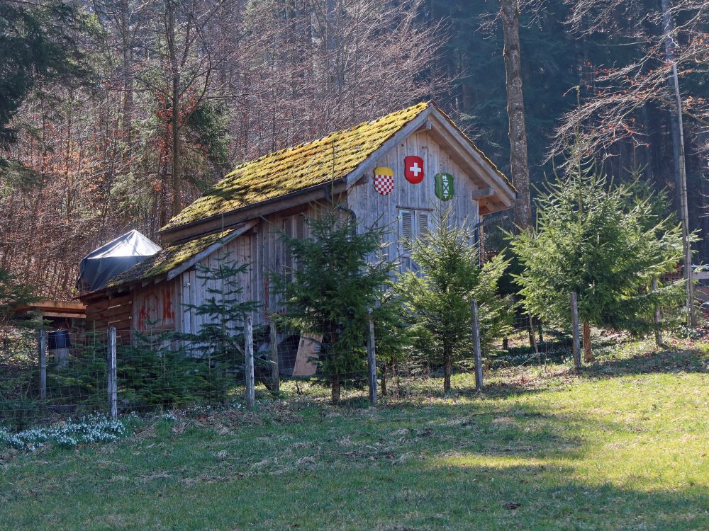 Waldhütte