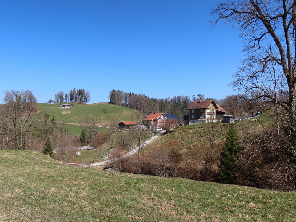 Niederglatt