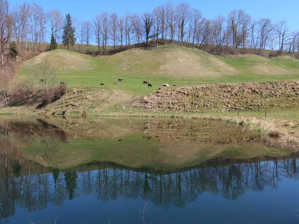 Teich bei Glattmüli