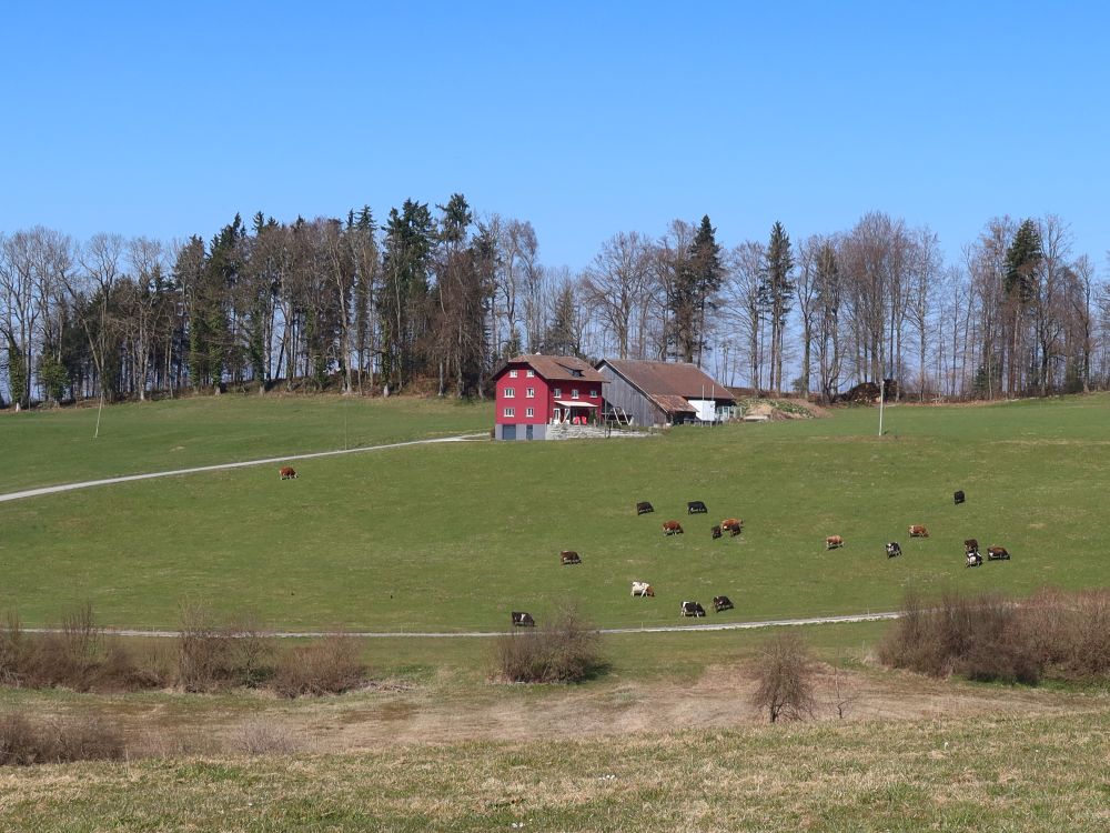 Bauernhof unterm Gloggrütiholz