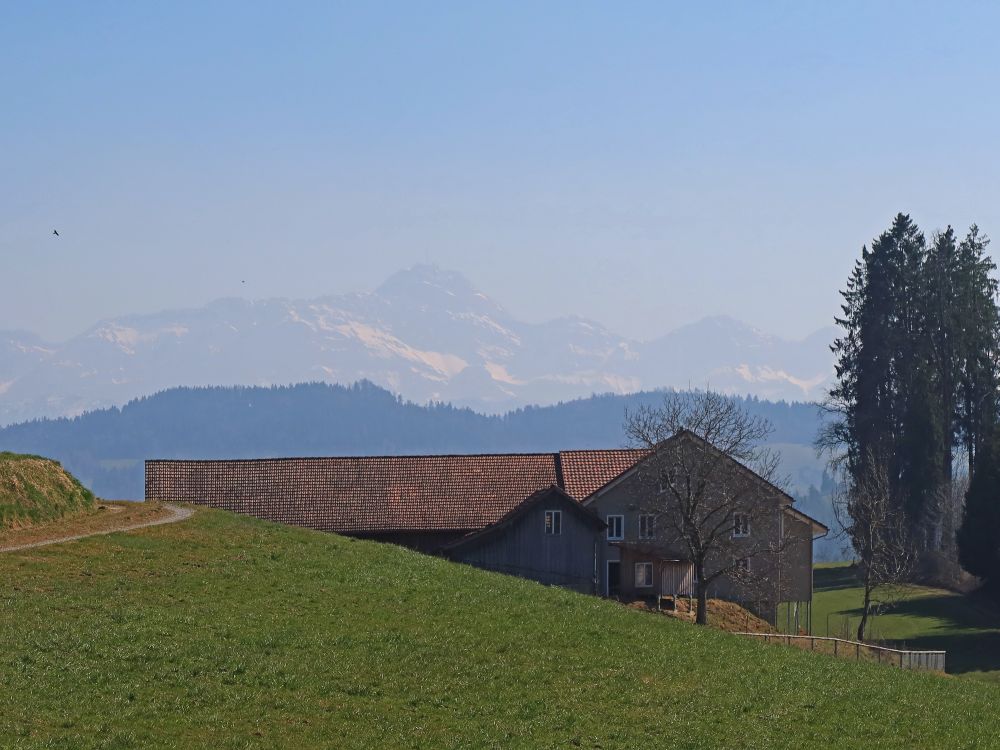 Bauernhof und Säntis