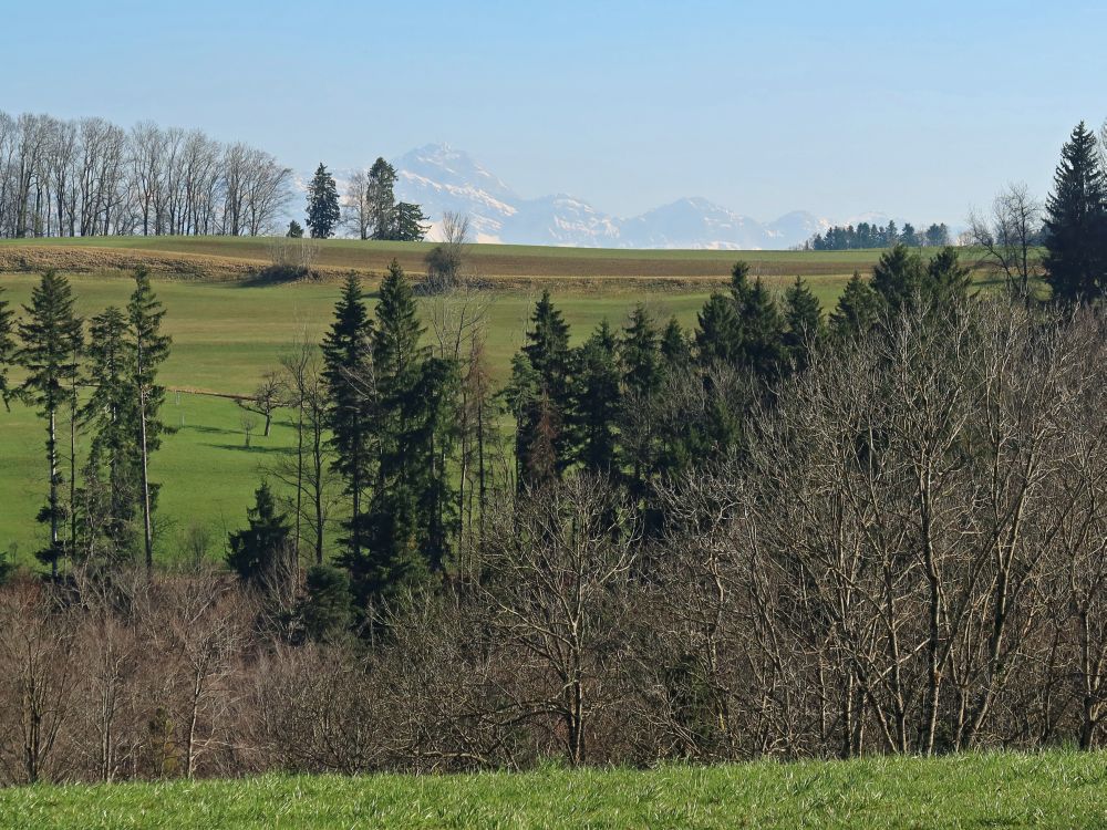 Blick Richtung Säntis