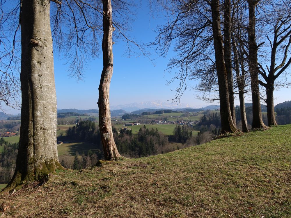 Blick Richtung Alpstein