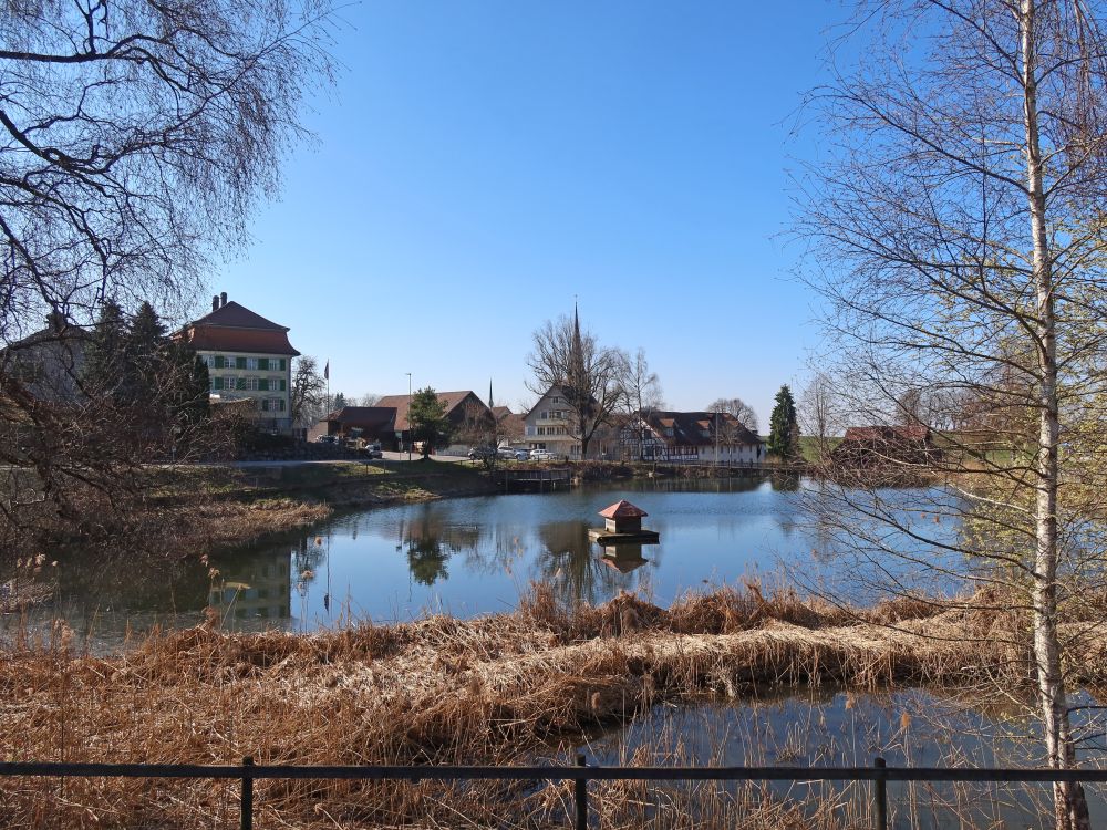 Magdenauer Weiher