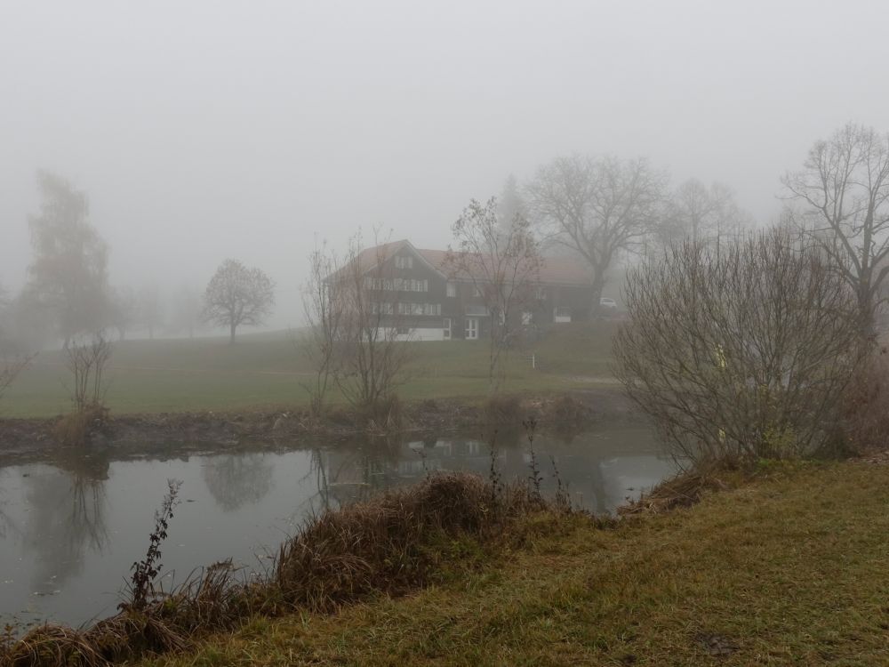 Teich bei Laubberg