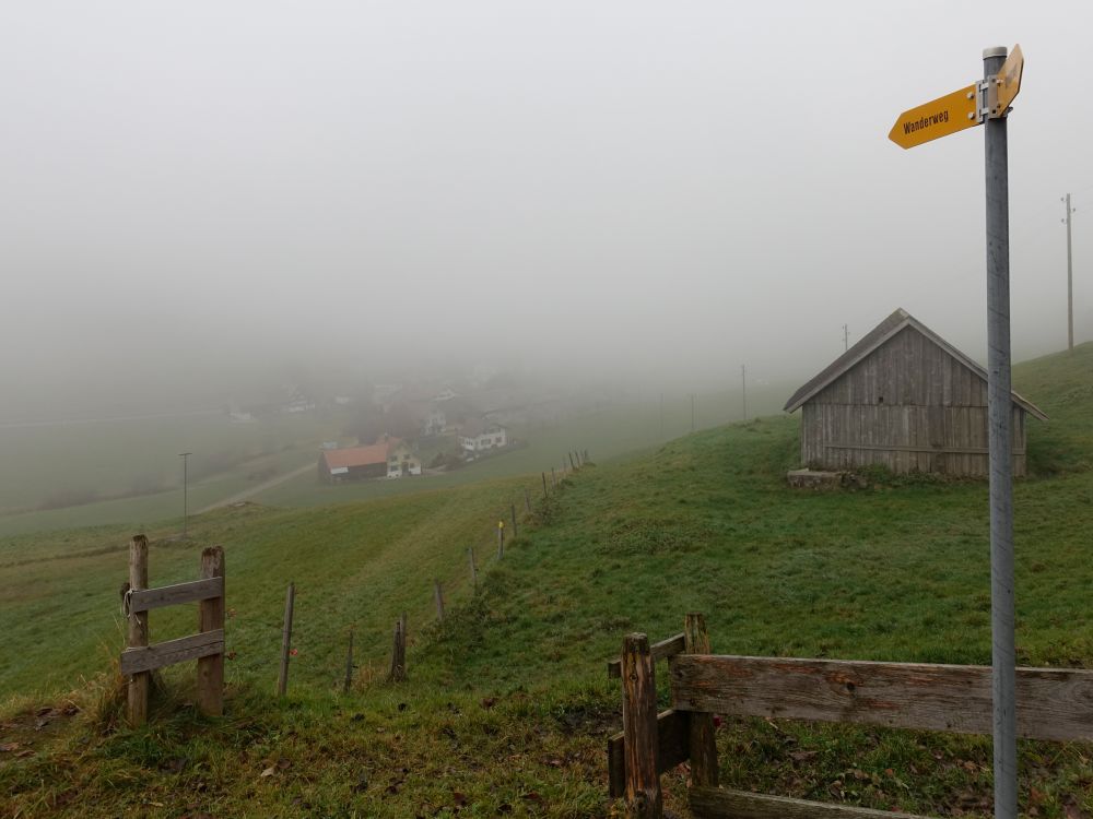 Nebel über Seeli