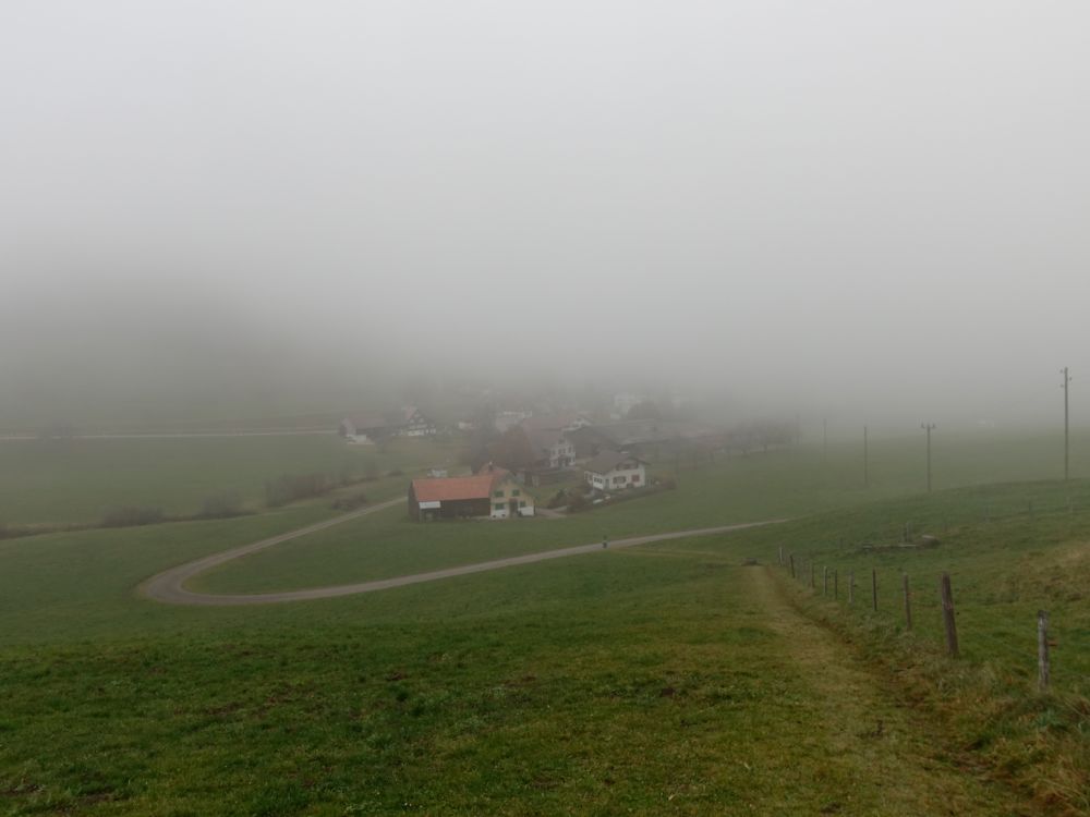 Nebel über Seeli