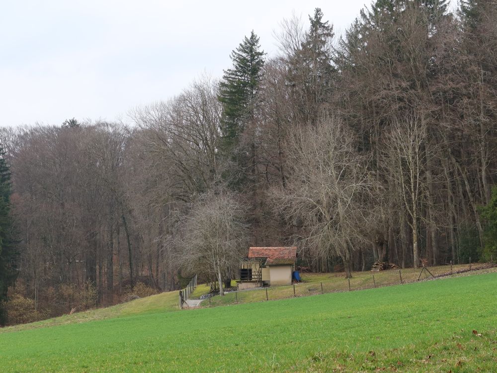 Hütte am Waldrand